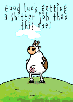 Boring Cow Job