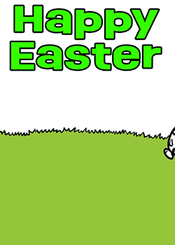 Bunny Magic Trick