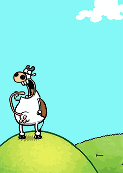 Cow Birthday Balloons