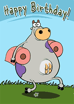 Cow Birthday Toilet Rolls