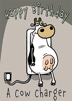 Cow Charger Birthday