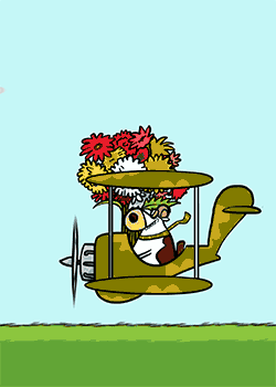 Cow Flower delivery Service