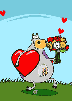 Cow Lover