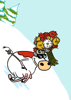 Cow Lover