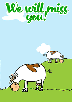 Cow Missing in Action!