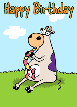 Cow Straw.