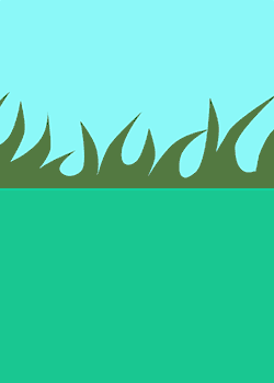 Frog Vs Birthday Cake