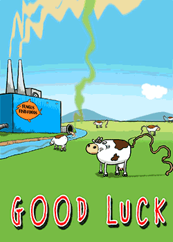 Good Luck Fish Food 