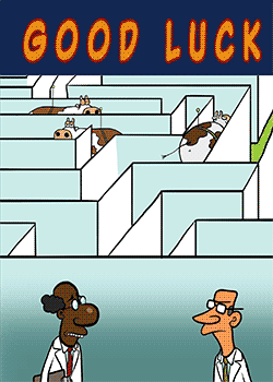 Good Luck Scientists!