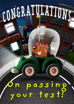 Hamster Driving Test