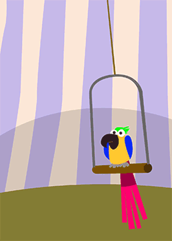 Love parrot