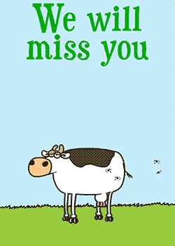 Miss you Cow