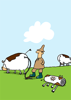 Pump up Cows