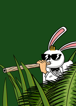 Sorry Bunny.