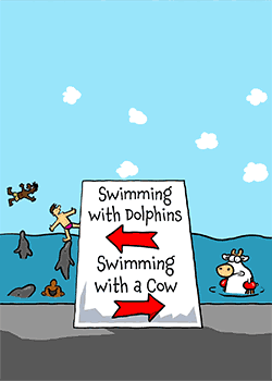 Swimming with Dolphins or Cows?