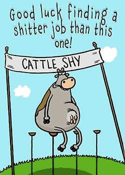 The Cattle Shy