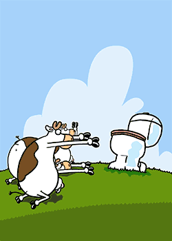 Worshipping Cows no text
