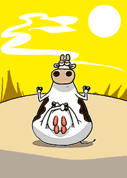 Yogic Cow Birthday