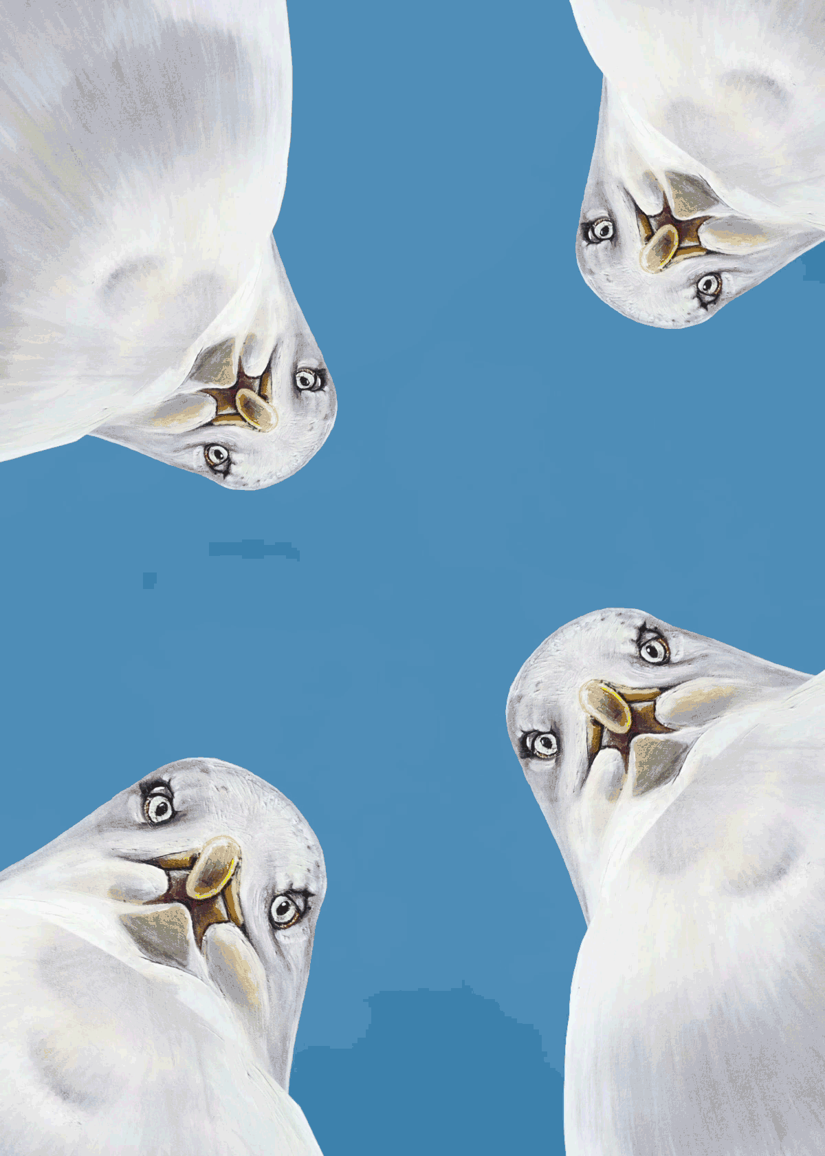 Seagull Ice cream Fiends